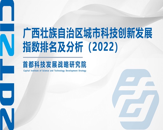 美女插吊视频【成果发布】广西壮族自治区城市科技创新发展指数排名及分析（2022）